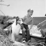 Jon Provost Net Worth