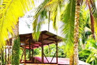 Bocas del Toro Real Estate