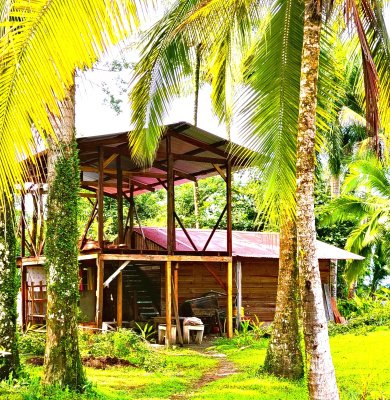Bocas del Toro Real Estate