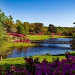 garden advice homenumental