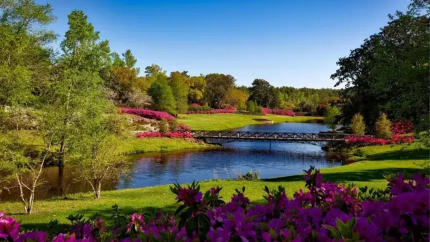 garden advice homenumental
