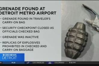 Detroit Airport TSA