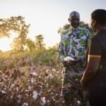 olam côte d'ivoire outspan ivoire