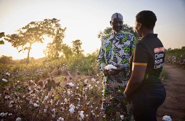olam côte d'ivoire outspan ivoire