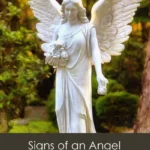 Guardian Angel