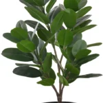 monarch green inc