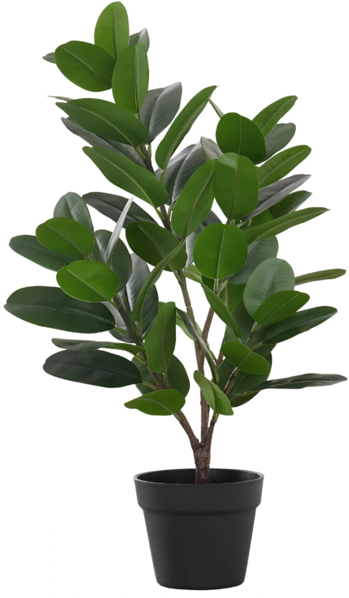 monarch green inc