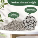 pumice for plants