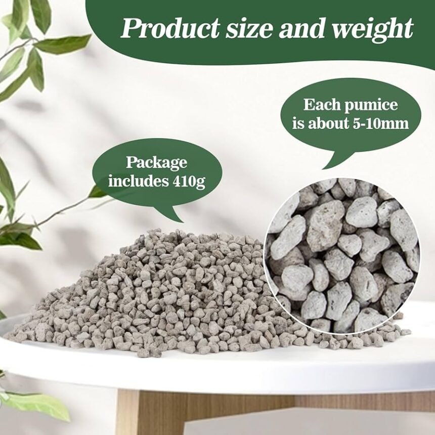 pumice for plants