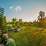 landscape berm