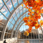 chihulygardenandglass photos