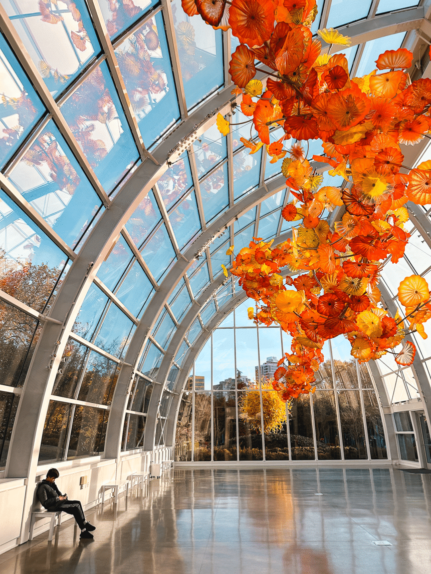 chihulygardenandglass photos