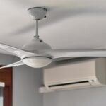 Discover the Benefits and Trends of Ceiling Fans in Adelaide