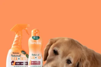 Regular, Medicated, or Flea Shampoo? How to Choose the Right Type for Your Dog