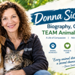 Donna Sicuranza: Biography, Career, and Her Work With TEAM Animal Welfare